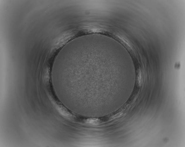 X0000091360410200708101423