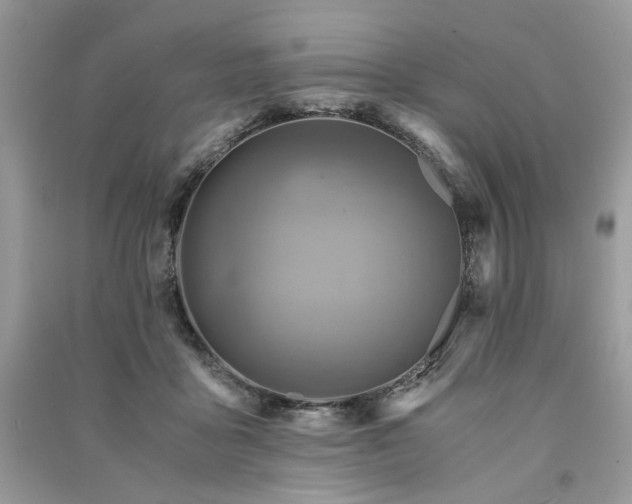 X0000091360411200708101423