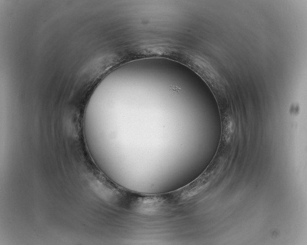 X0000091360414200708101423
