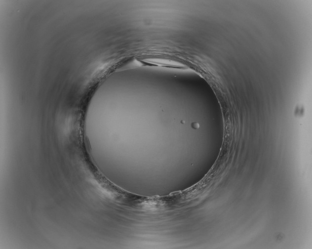 X0000091360415200708101423