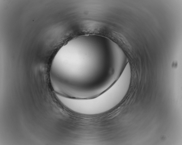 X0000091360416200708101423