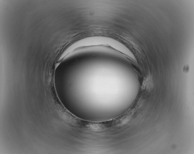 X0000091360417200708101423