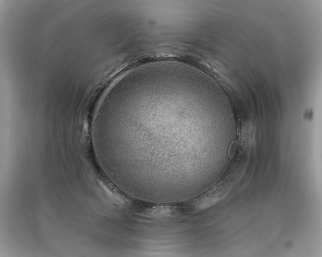 X0000091360418200708101423