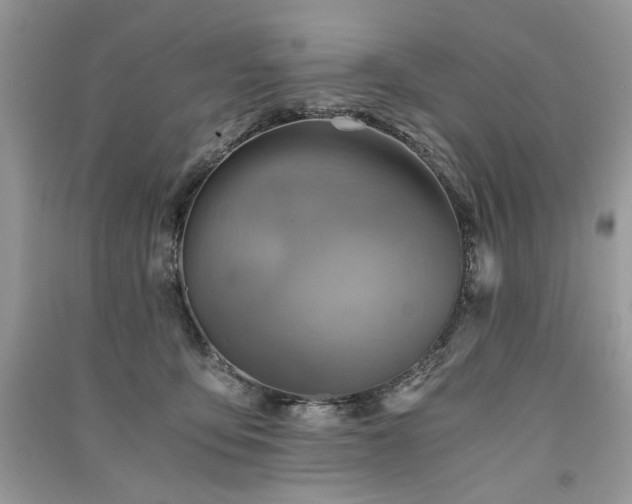 X0000091360419200708101423