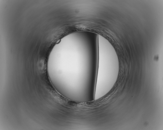 X0000091360420200708101423