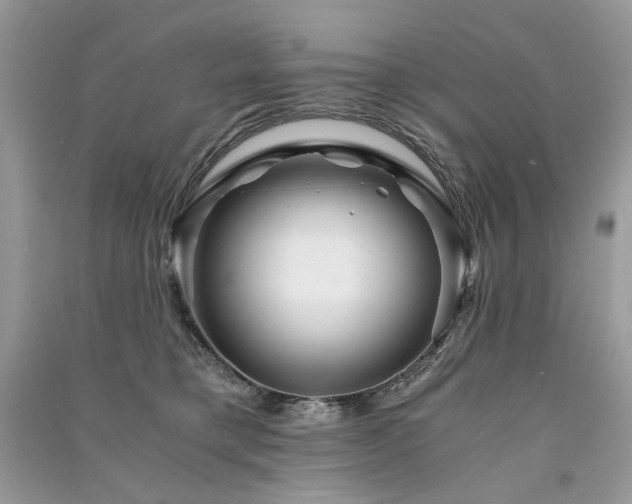 X0000091360421200708101423