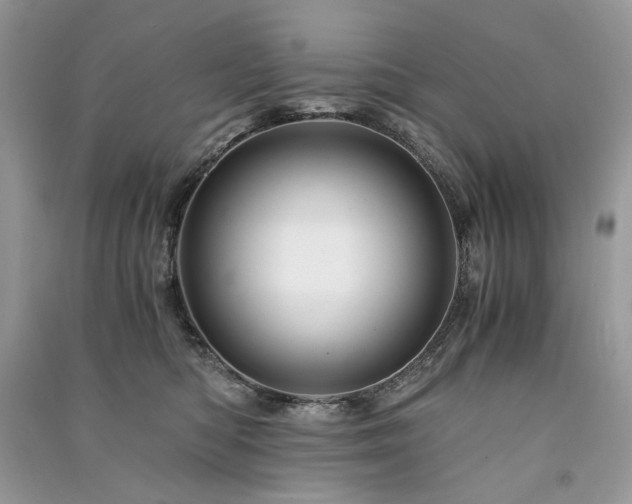 X0000091360422200708101423