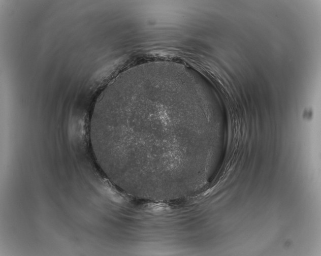 X0000091360424200708101423