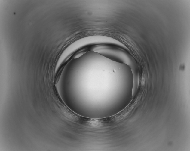 X0000091360425200708101423