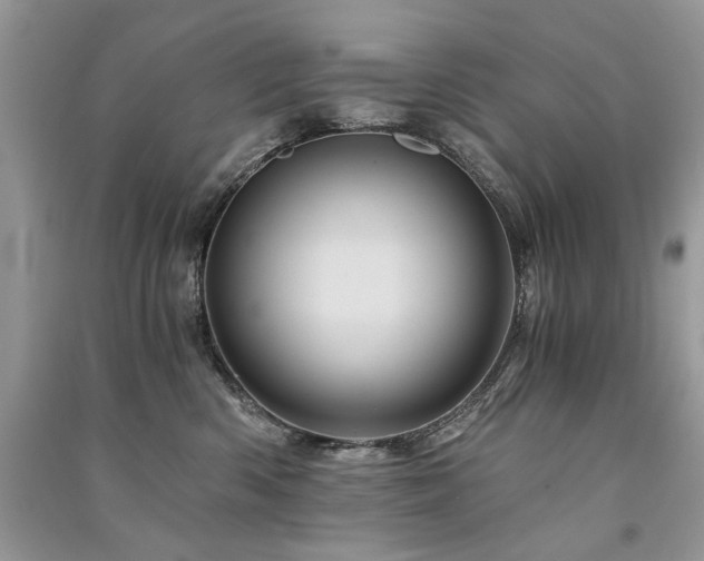 X0000091360426200708101423