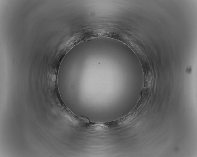 X0000091360427200708101423