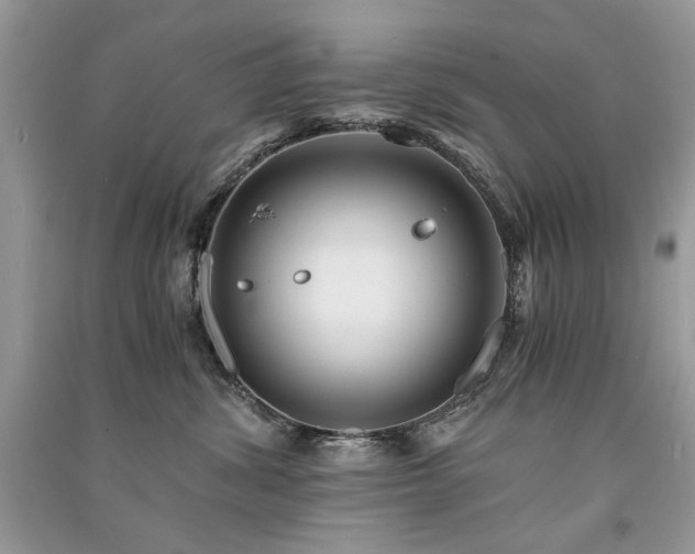 X0000091360428200708101423