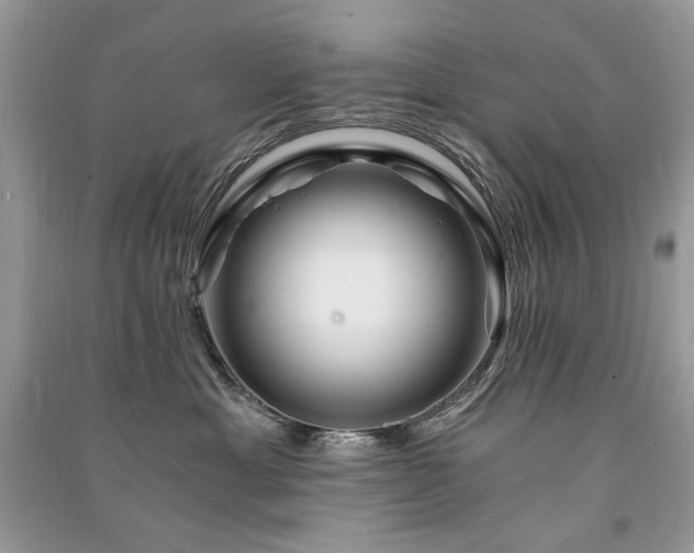 X0000091360429200708101423