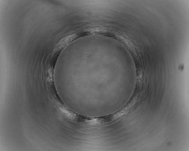 X0000091360430200708101423