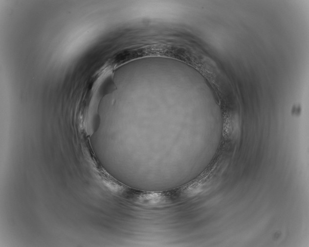 X0000091360431200708101423