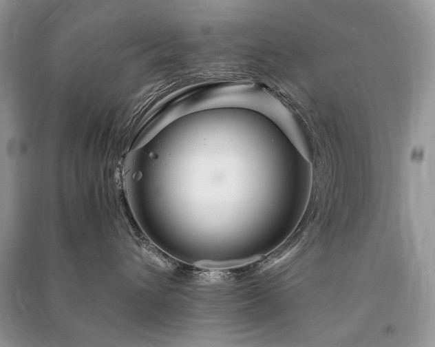 X0000091360432200708101423