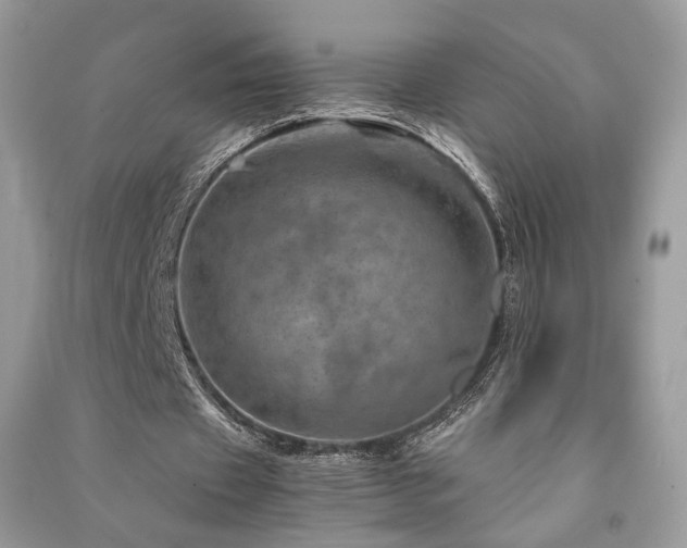 X0000091360433200708101422