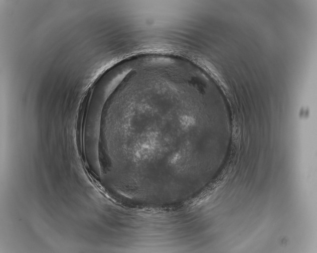 X0000091360434200708101422