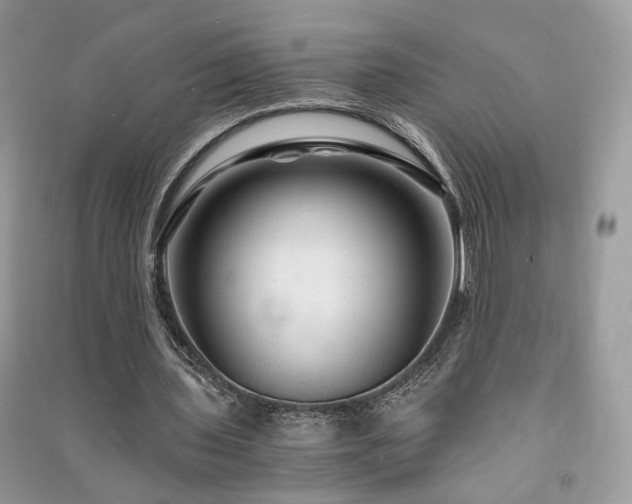 X0000091360435200708101422