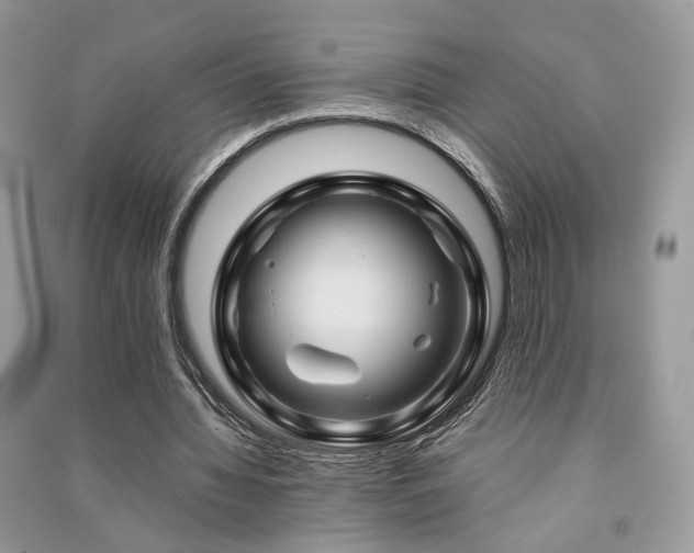 X0000091360436200708101422