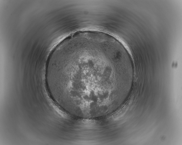 X0000091360437200708101422