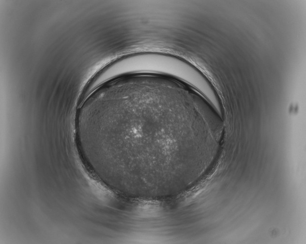 X0000091360438200708101422