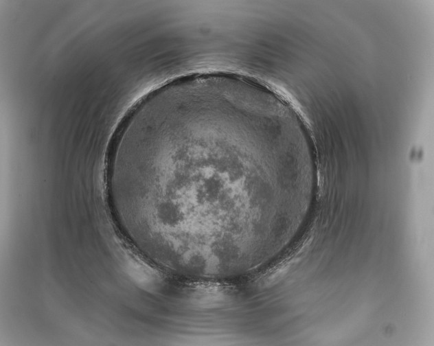 X0000091360439200708101422