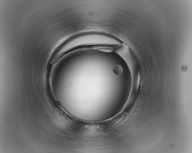 X0000091360440200708101422