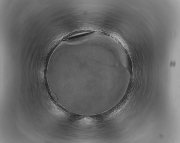 X0000091360441200708101422