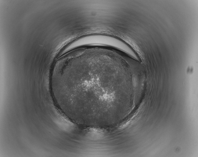 X0000091360442200708101422