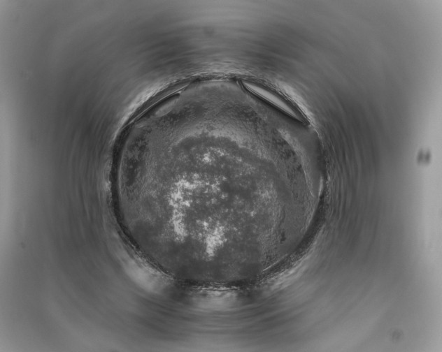 X0000091360443200708101422