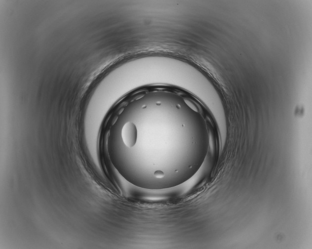 X0000091360444200708101422
