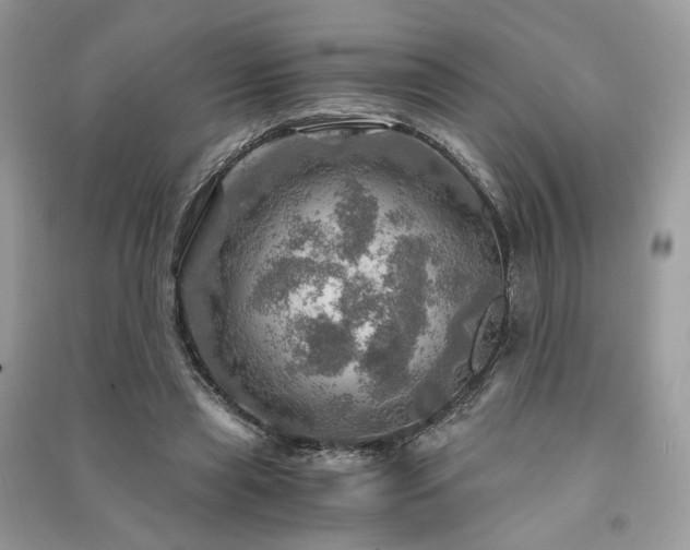 X0000091360445200708101422