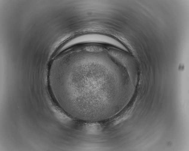 X0000091360446200708101422