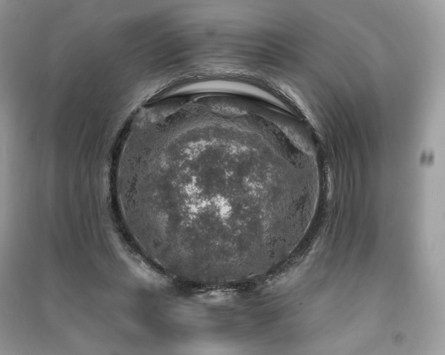 X0000091360447200708101422