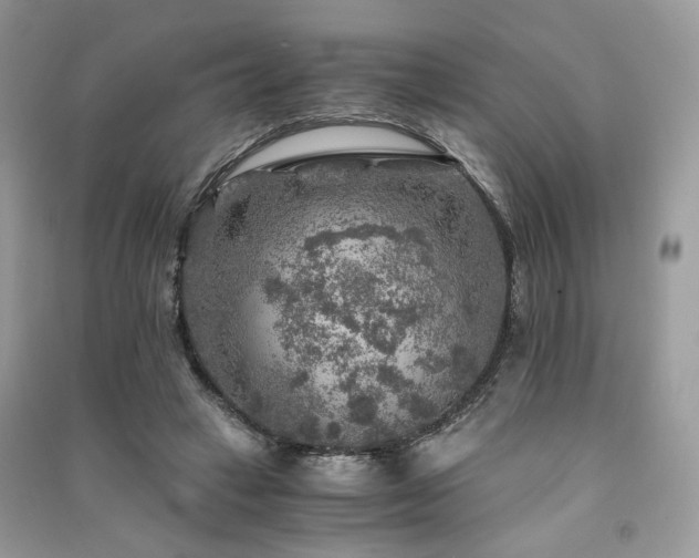 X0000091360449200708101422