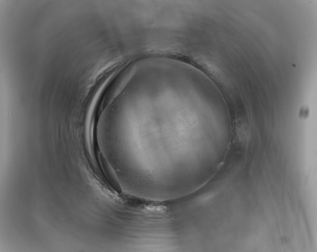 X0000091360450200708101422