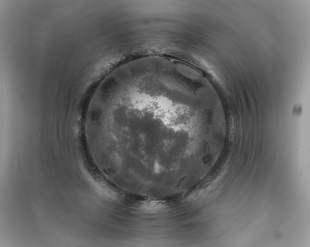 X0000091360451200708101422