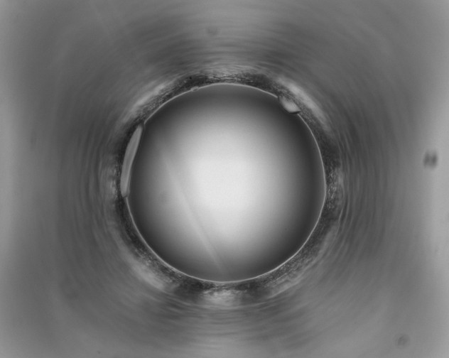 X0000091360452200708101422