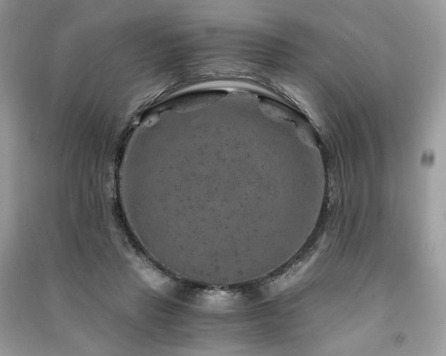 X0000091360453200708101422