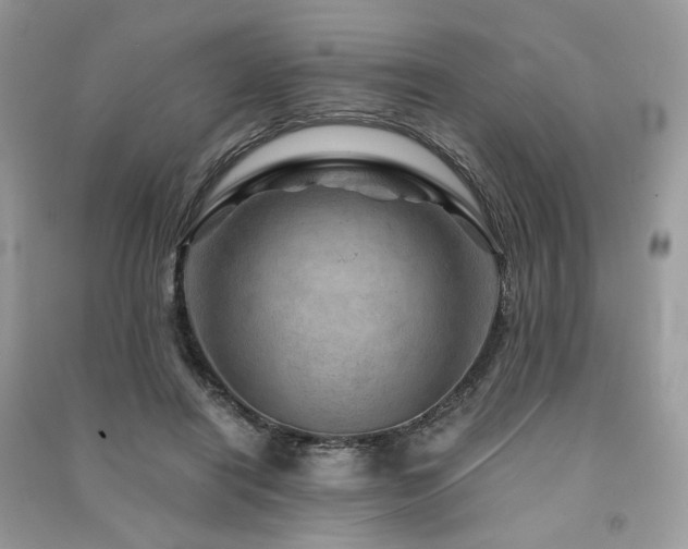 X0000091360454200708101422