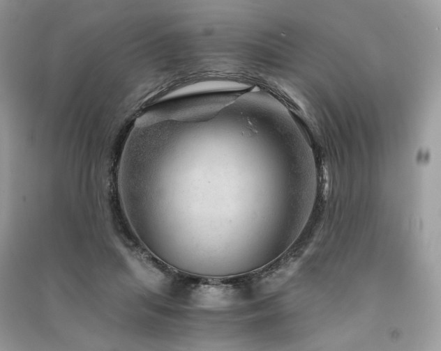 X0000091360455200708101423