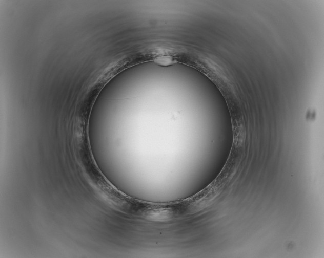 X0000091360456200708101423