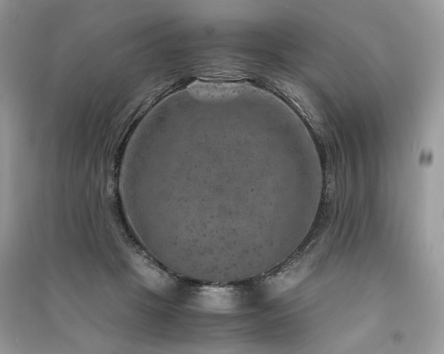 X0000091360457200708101423