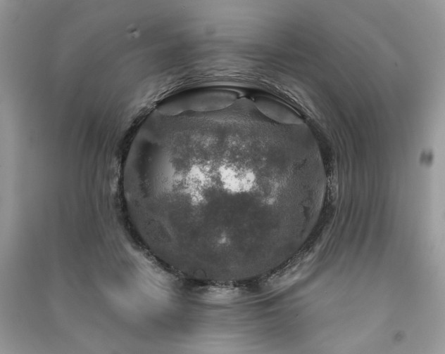 X0000091360458200708101423