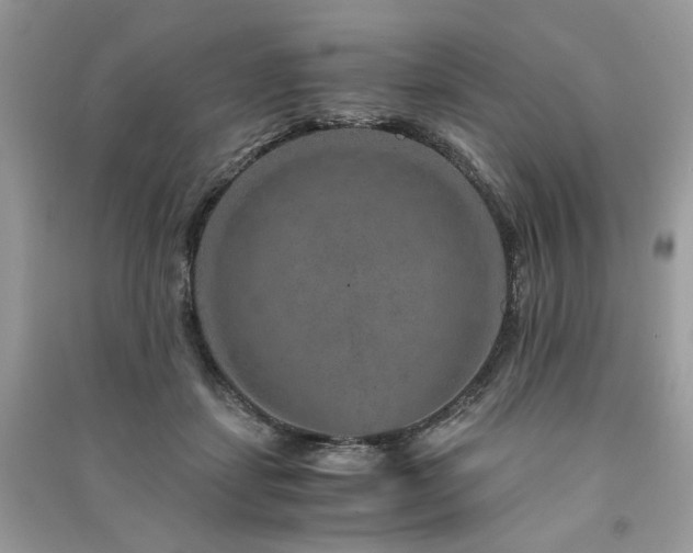 X0000091360459200708101423