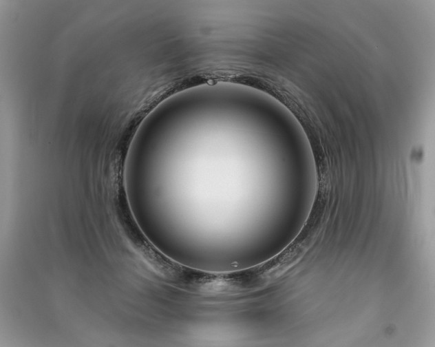 X0000091360460200708101423