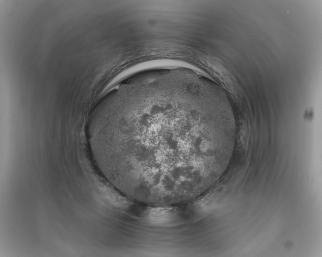 X0000091360461200708101423