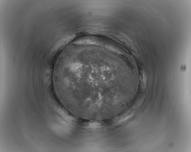X0000091360462200708101423
