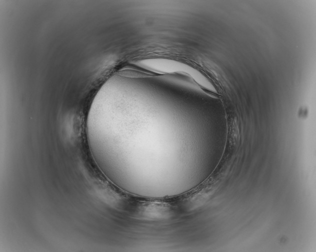 X0000091360463200708101423